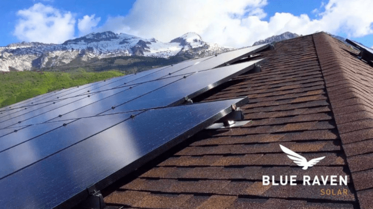 Blue Raven Solar reviews